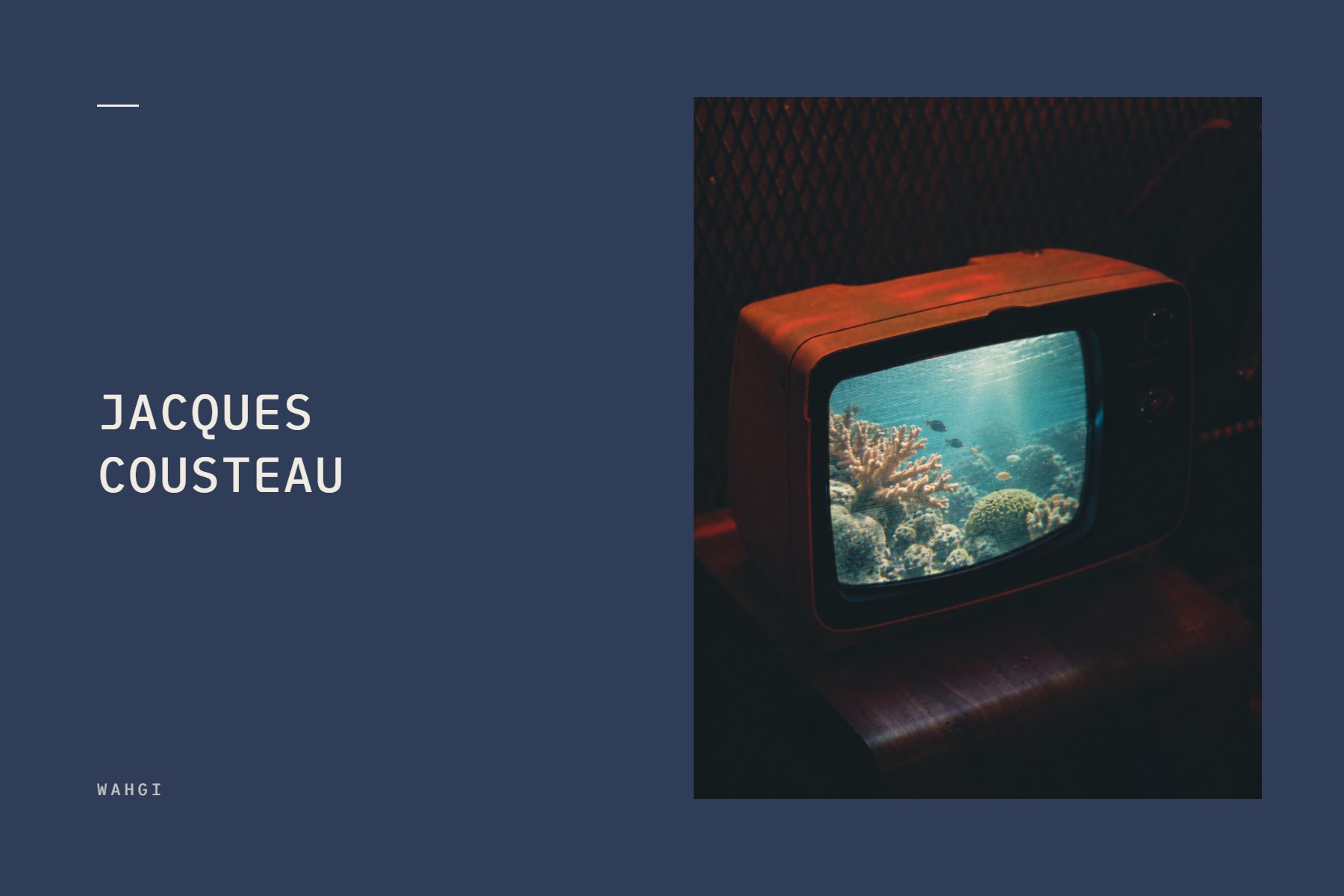 Jacques Cousteau: The Ocean Came Indoors