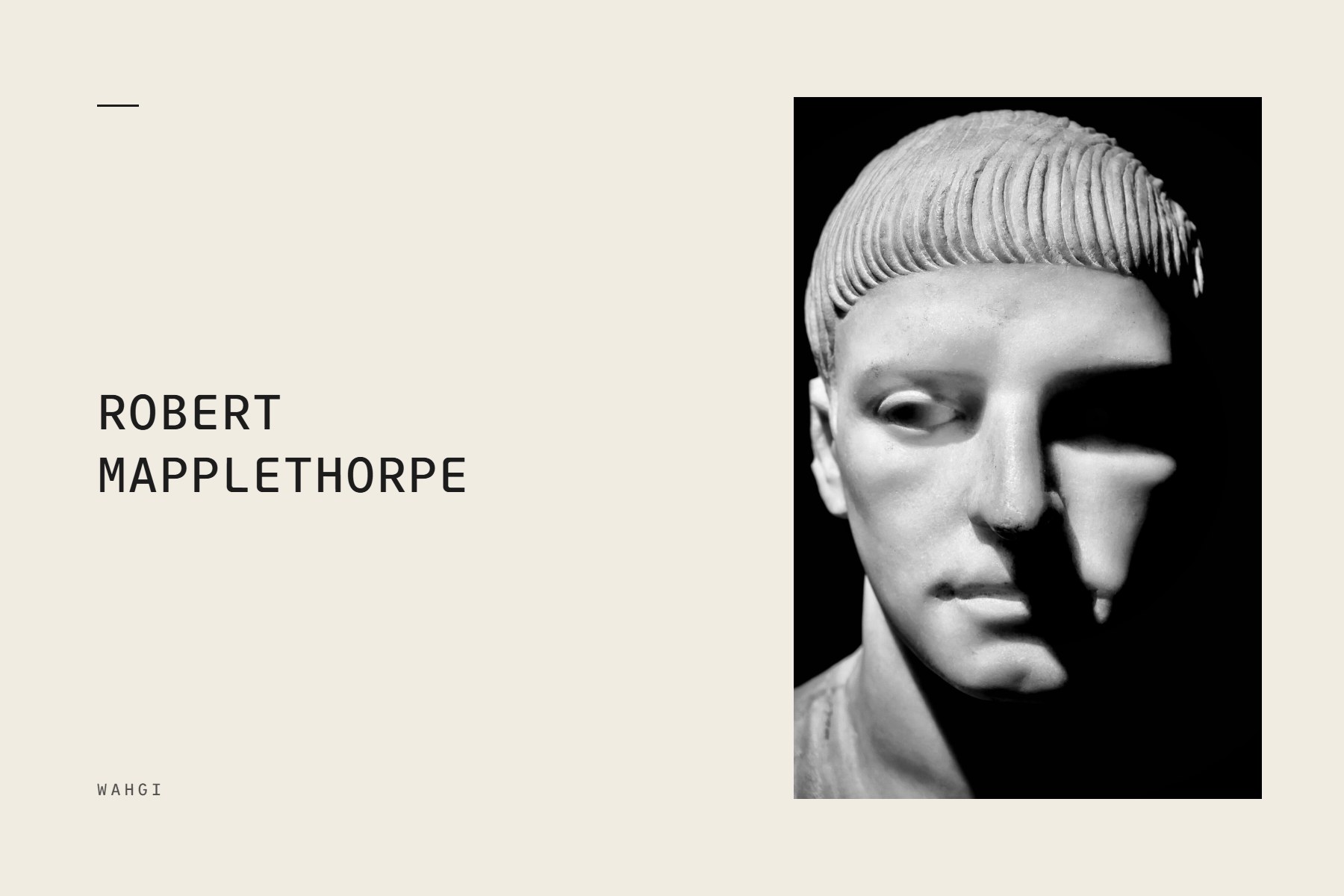 On Mapplethorpe